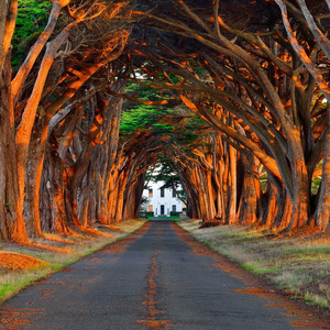 91在线国产一区
